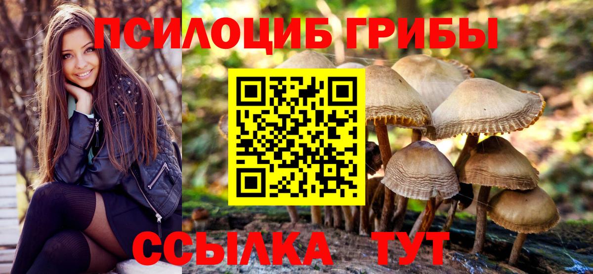 Галлюциногенные грибы мухоморы Вязьма
